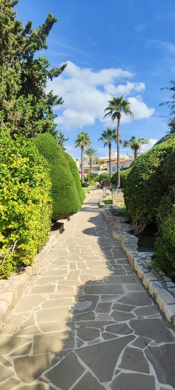Renovated 3-bed furnished apartment near beach, Agios Tychonas photo 18
