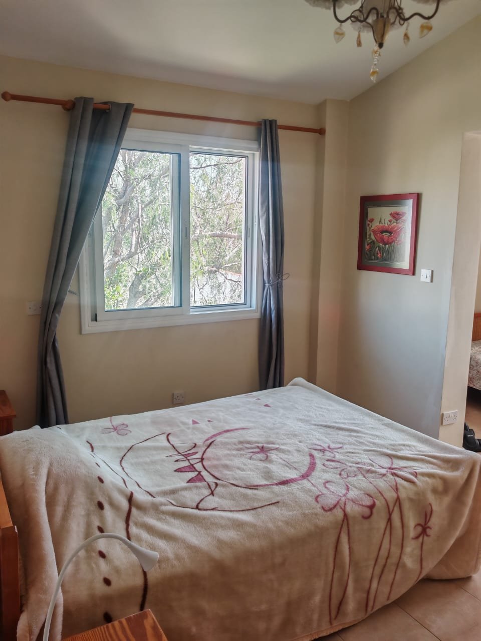 3-bed villa with pool and garden in Coral Bay photo 11