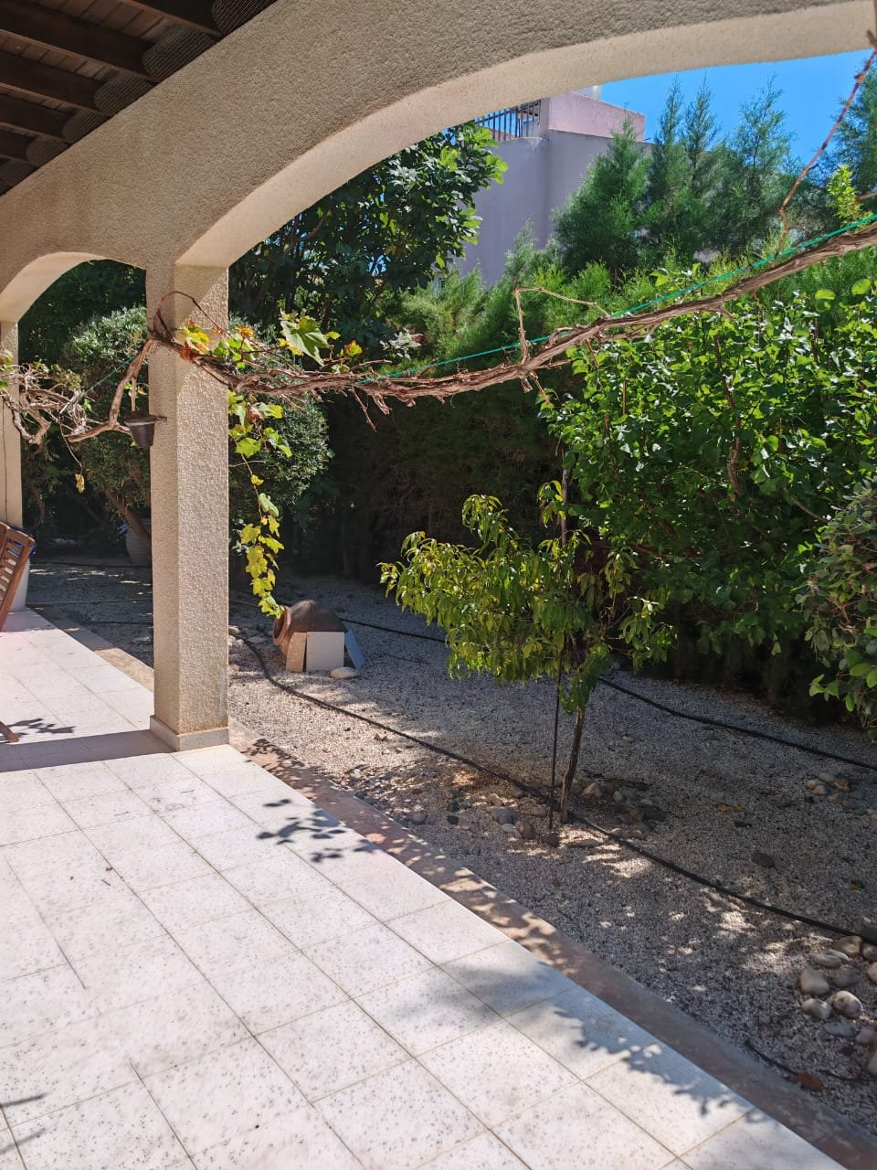 3-bed villa with pool and garden in Coral Bay photo 13