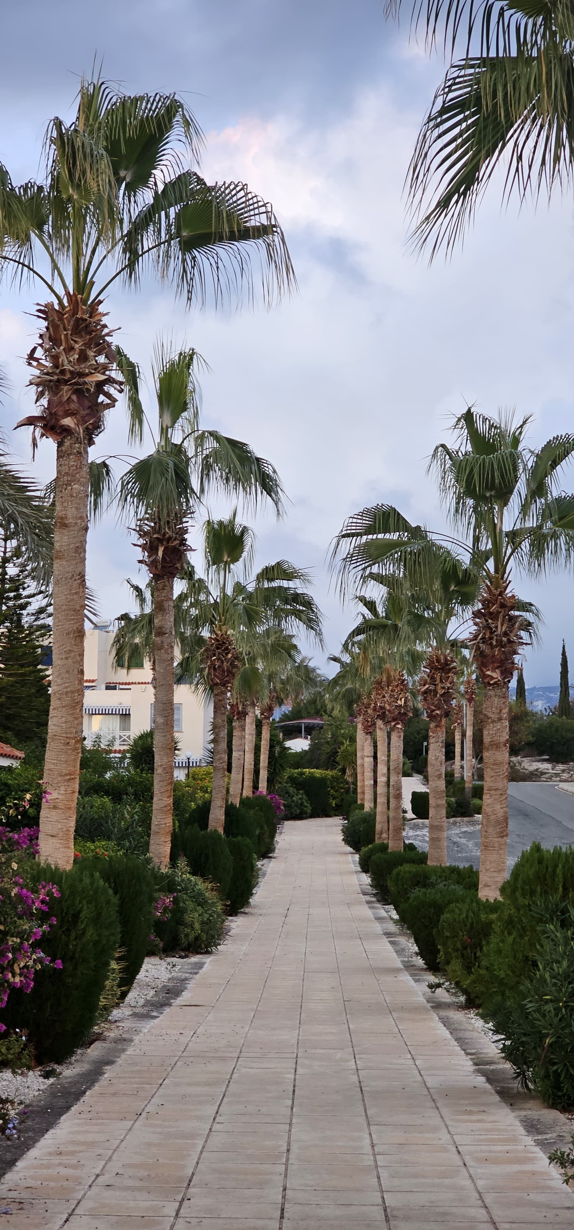 5-bed furnished villa with pool and sea views in Coral Bay photo 7