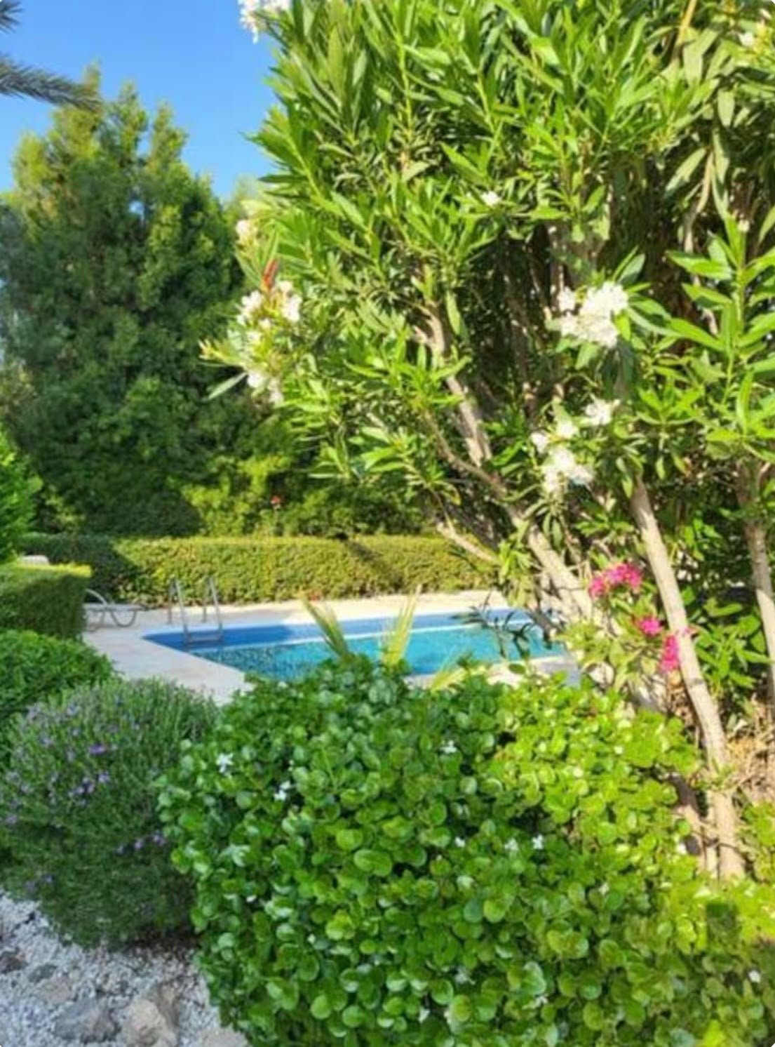 3-bed villa with private pool and garden in Coral Bay, Paphos photo 2