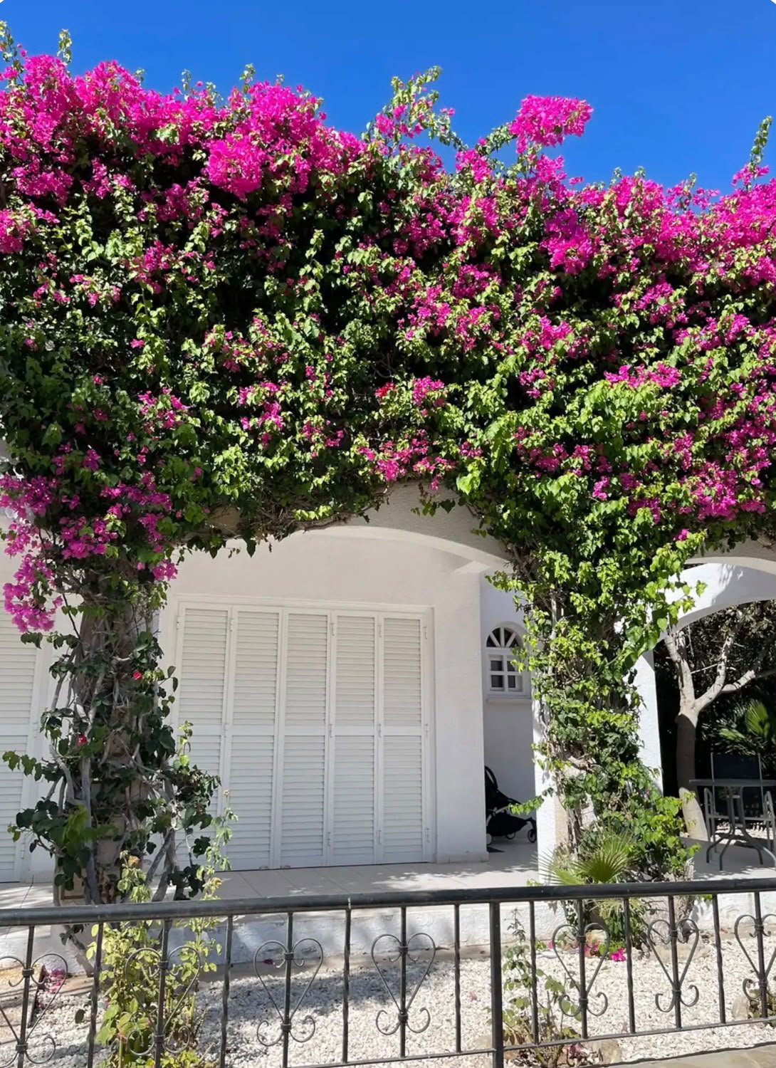 3-bed villa with private pool and garden in Coral Bay, Paphos photo 14