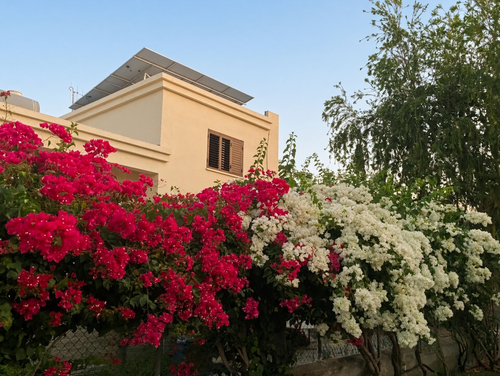 Spacious 3-bedroom house in Latsia, Nicosia photo 5
