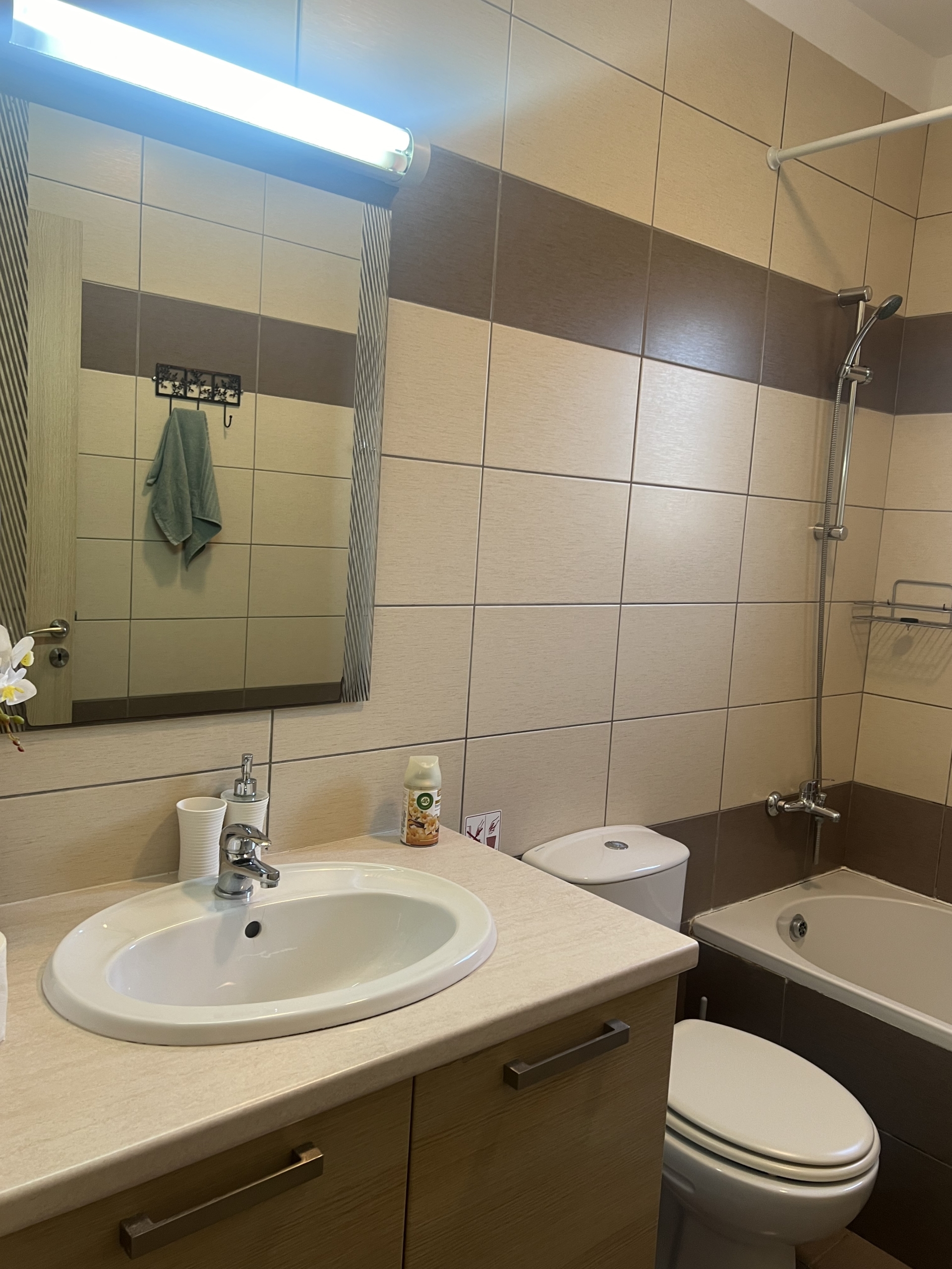 2-bed furnished apartment with sea view in Mazotos photo 17