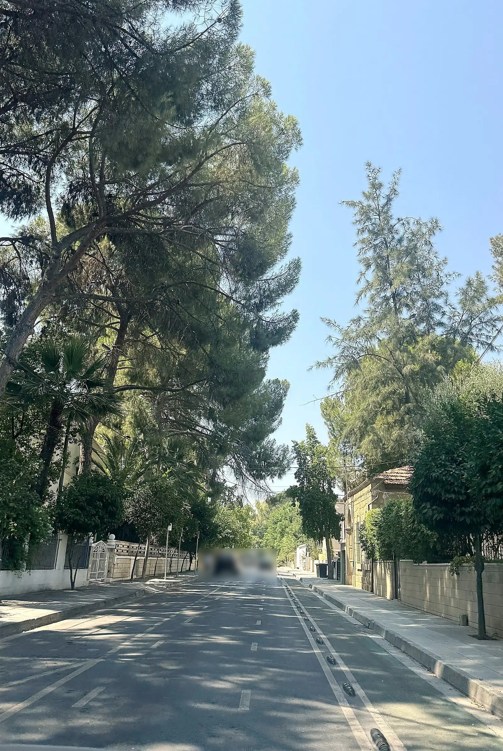 Furnished 3-bed apartment with park views in central Nicosia photo 16